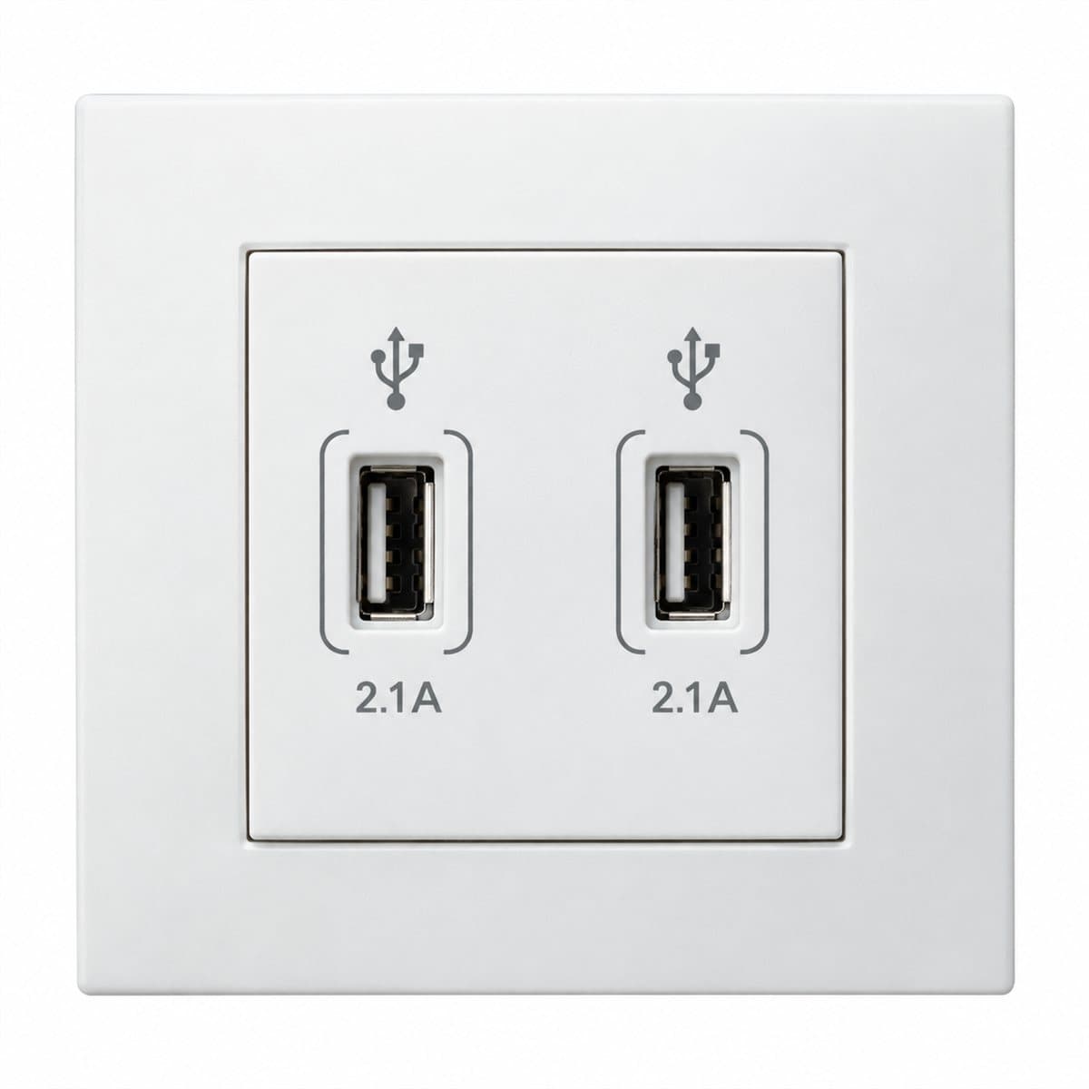 Ổ sạc USB đôi Vivace Schneider trên nền trắng, ảnh sản phẩm chính diện