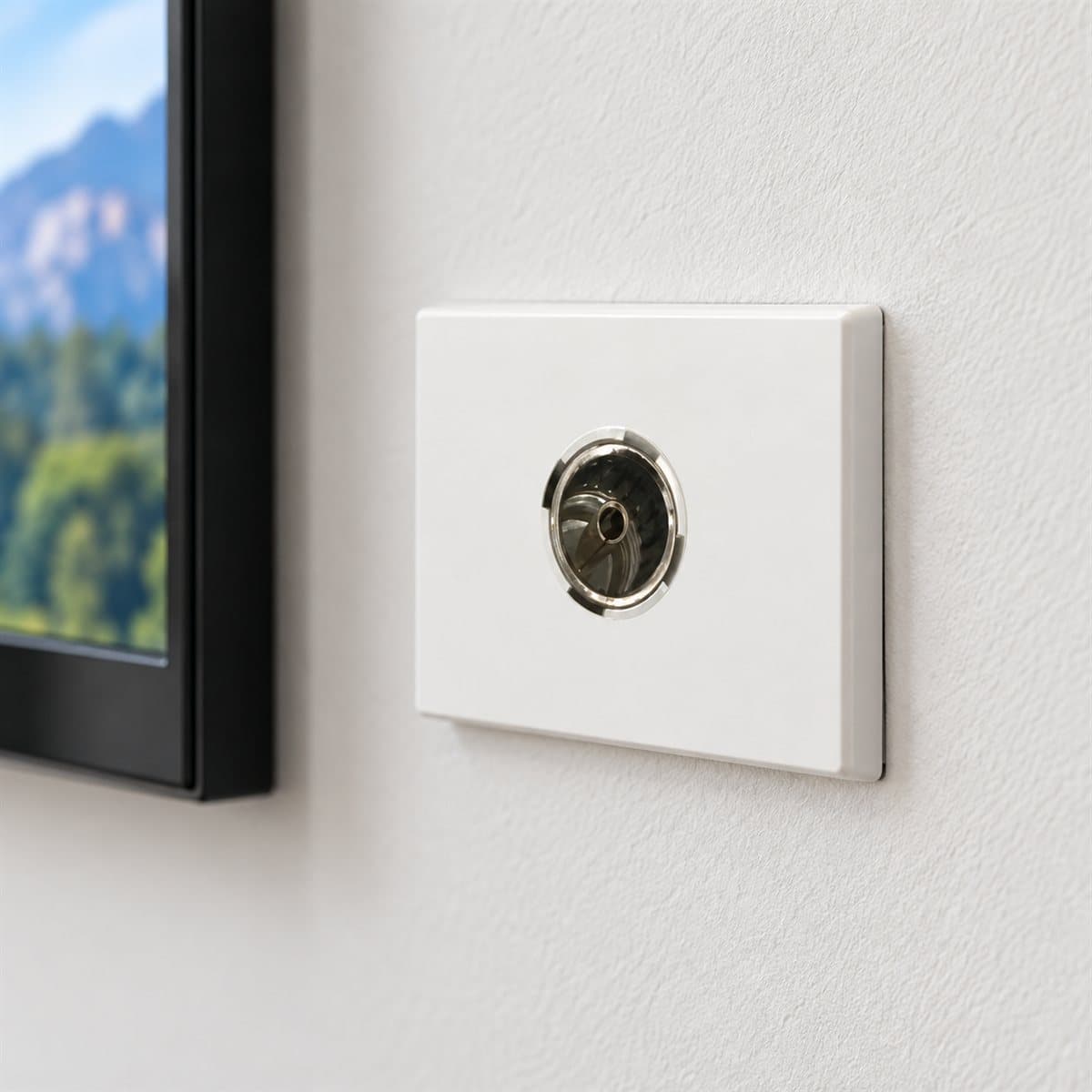 Ổ cắm tivi, 1 mô-đun Rivia Legrand đã lắp đặt trong nhà