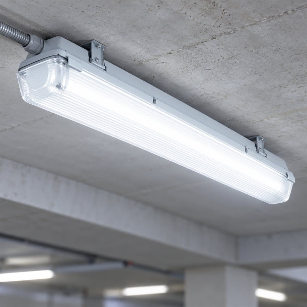 Máng đèn kín nước Panasonic đã lắp đặt, đang chiếu sáng