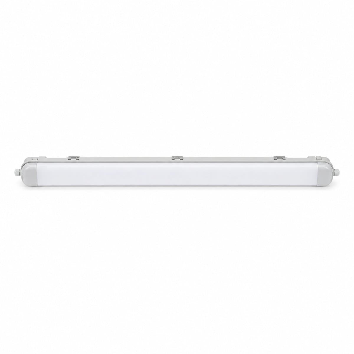 Đèn ECOFITZ LED Waterproof trên nền trắng, ảnh sản phẩm chính diện