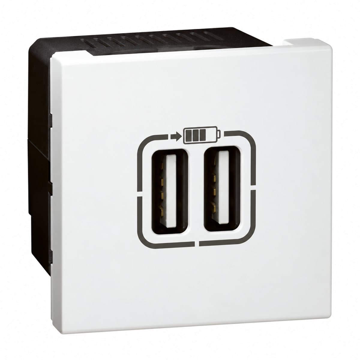 Ổ sạc USB đôi type A, 15W, 2 mô-đun Mosaic cho hộp âm sàn Legrand trên nền trắng, ảnh sản phẩm chính diện