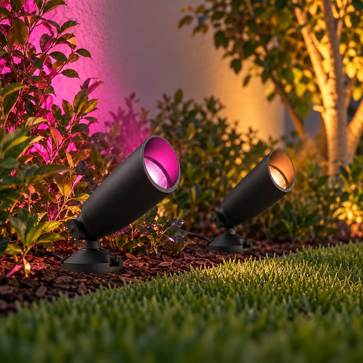 Bộ đèn cắm cỏ thông minh WiZ 12V Ground Spot Starter Kit đã lắp đặt, đang chiếu sáng