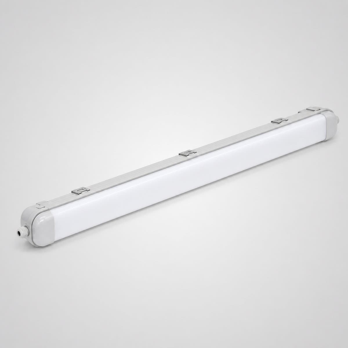 Đèn ECOFITZ LED Waterproof chụp góc nghiêng 3/4, thấy rõ thân và mặt bên