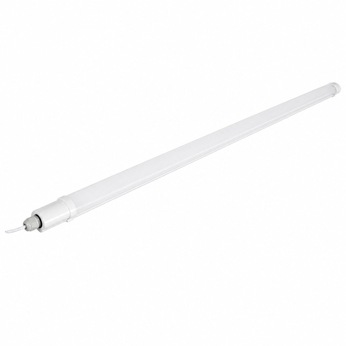 Đèn batten chống nước trên nền trắng, ảnh sản phẩm chính diện