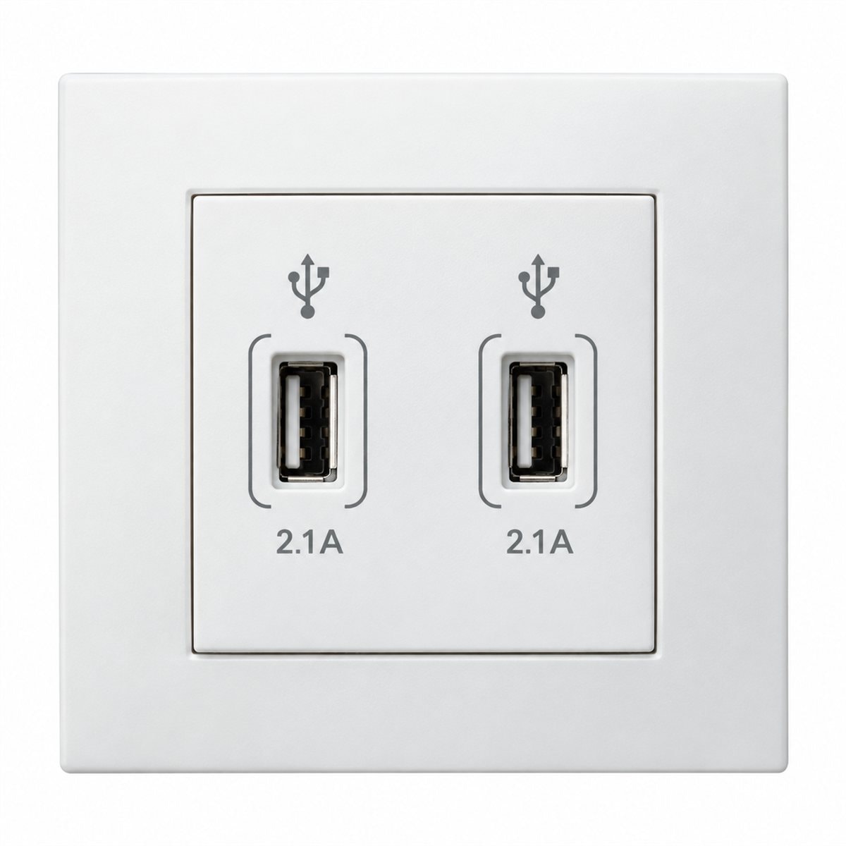 Ổ sạc USB đôi Vivace Schneider trên nền trắng, ảnh sản phẩm chính diện