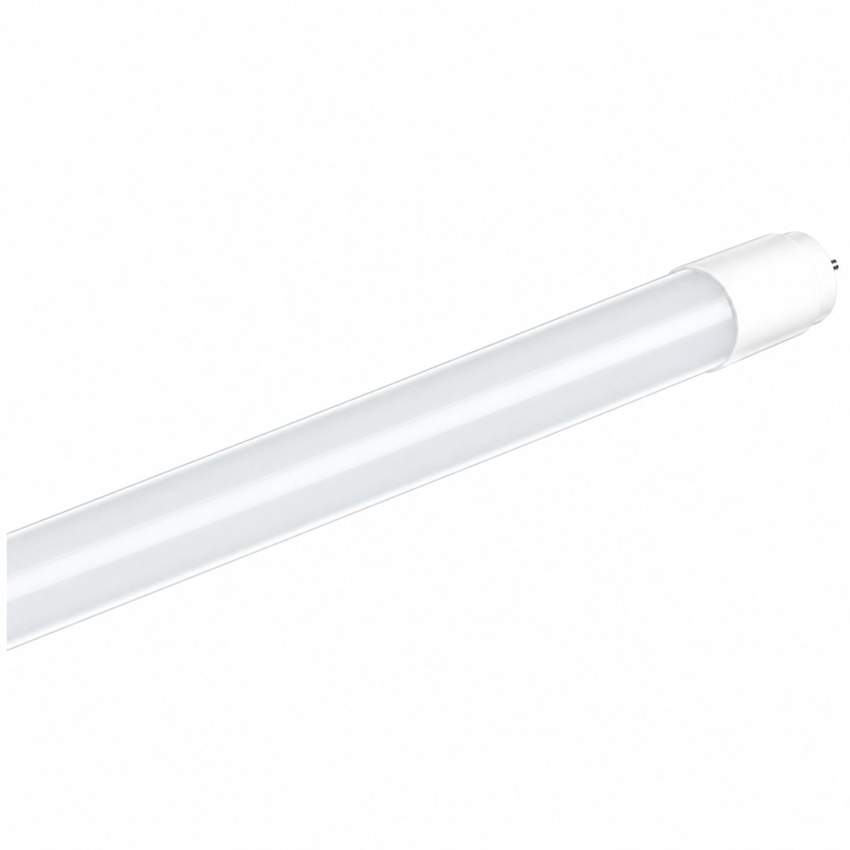 Đèn LED tuýp T8 Lite Series Panasonic trên nền trắng, ảnh sản phẩm chính diện