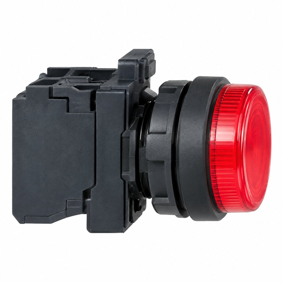 Công tắc nút nhấn XB5 Ø22 với vành nhựa - Mô-đun Schneider trên nền trắng, ảnh sản phẩm chính diện