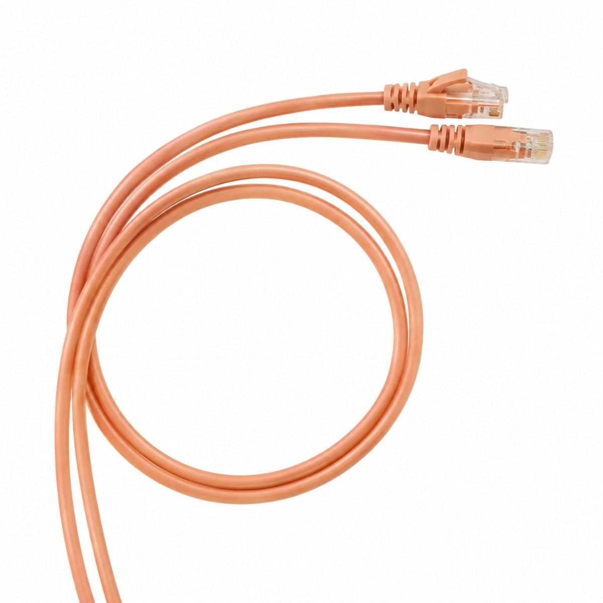 Dây nhảy RJ45 Cat5e/Cat6 Legrand trên nền trắng, ảnh sản phẩm chính diện