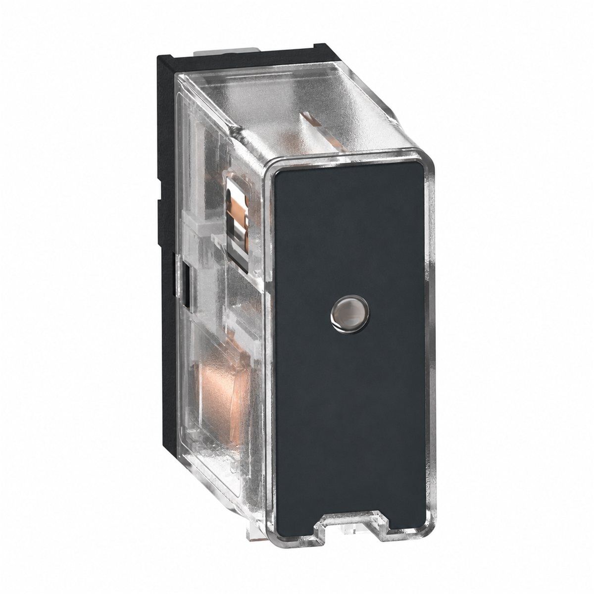 Rơ le RXG Basic Schneider trên nền trắng, ảnh sản phẩm chính diện