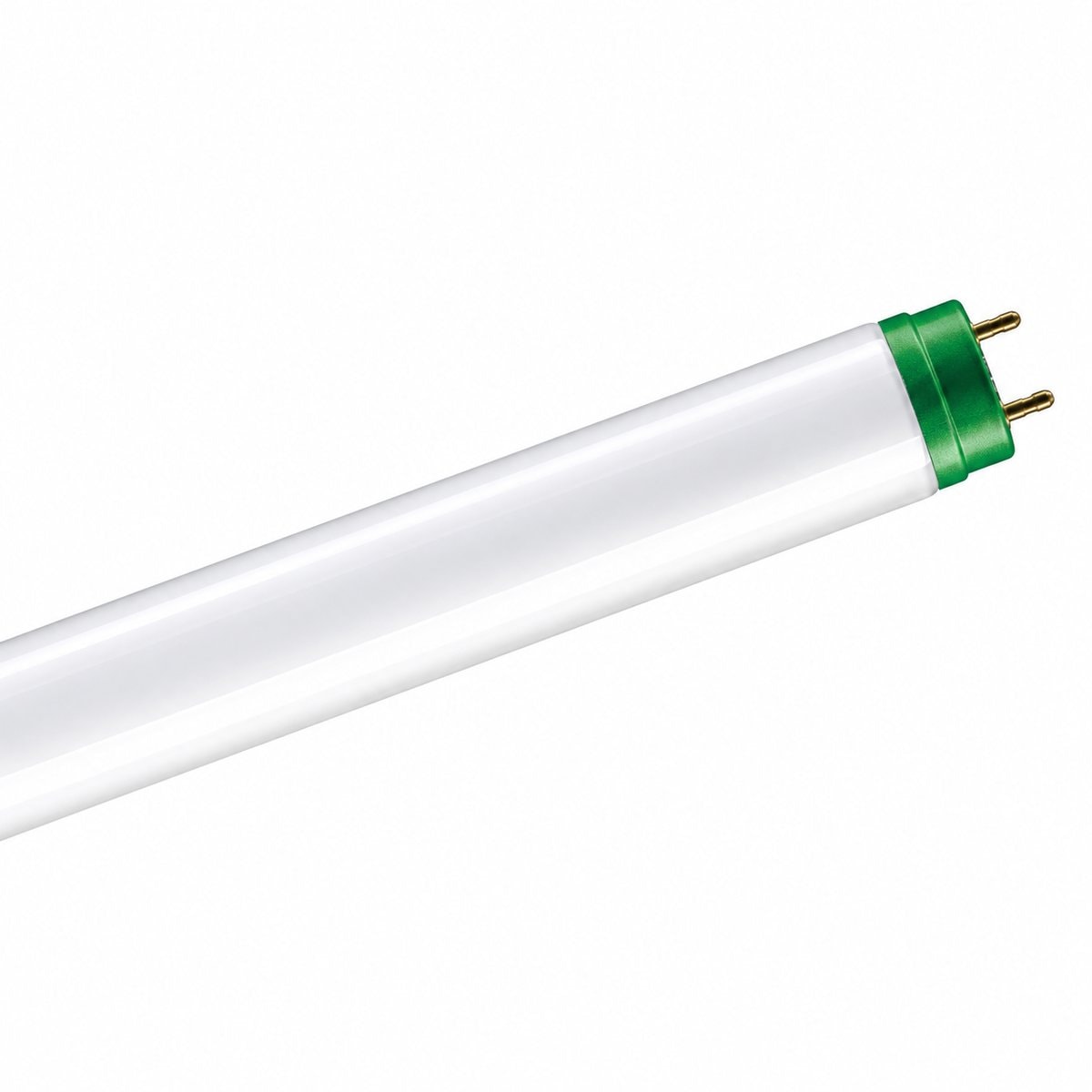 Bóng tuýp huỳnh quang TL-D T8 / TL5 Essential Philips trên nền trắng, ảnh sản phẩm chính diện