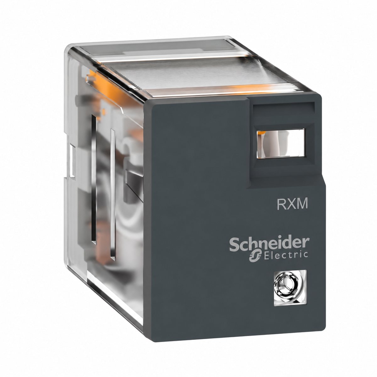 Rơ le thu nhỏ REXO Optimum Schneider trên nền trắng, ảnh sản phẩm chính diện