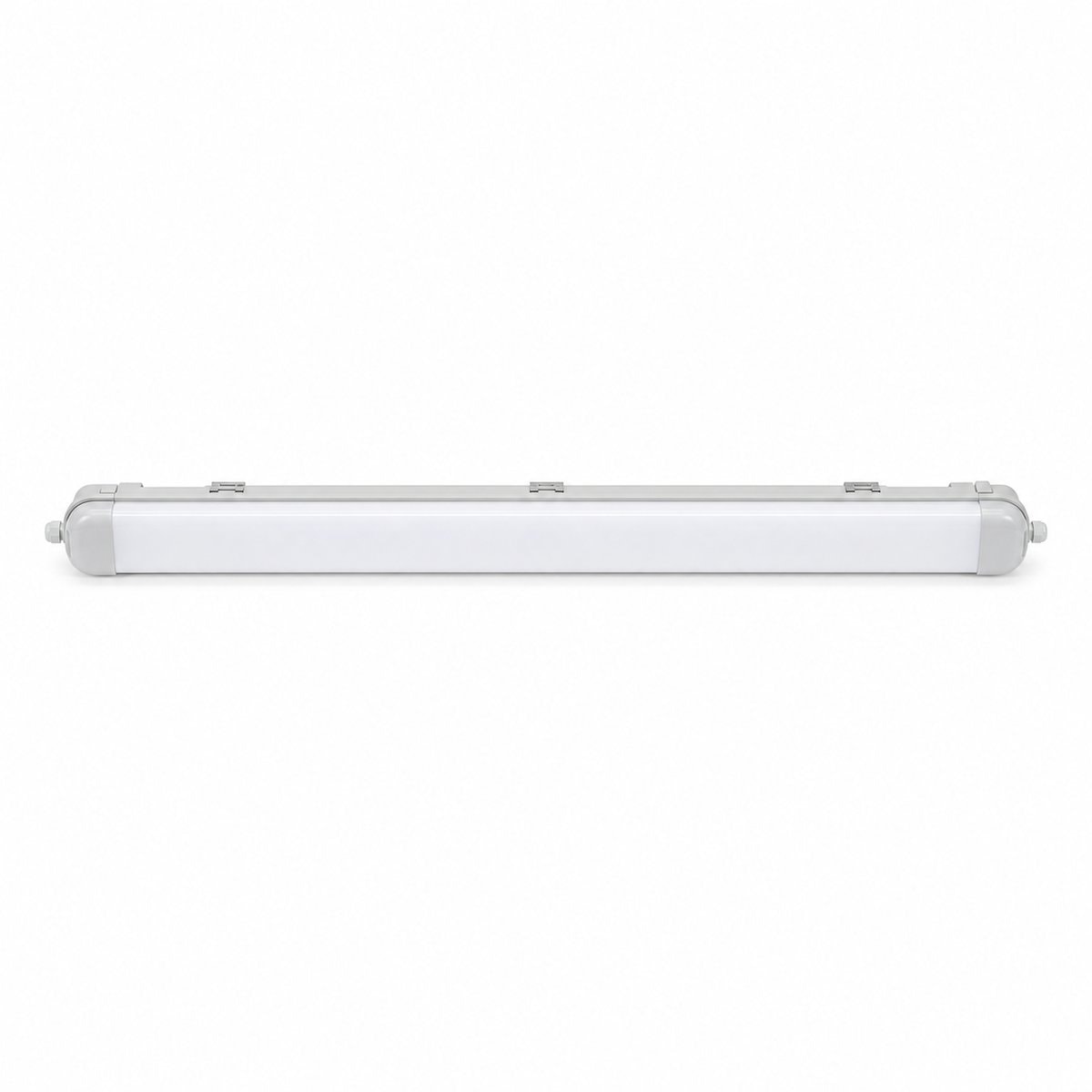 Đèn ECOFITZ LED Waterproof trên nền trắng, ảnh sản phẩm chính diện