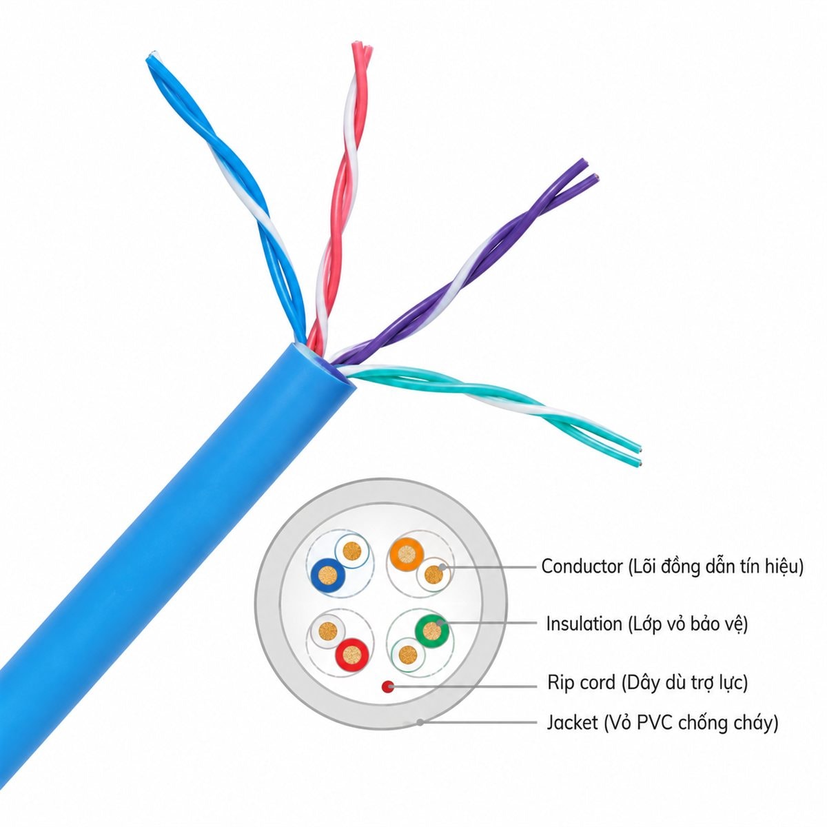 Dây cáp mạng Cat5e, Cat6 Panasonic trên nền trắng, ảnh sản phẩm chính diện