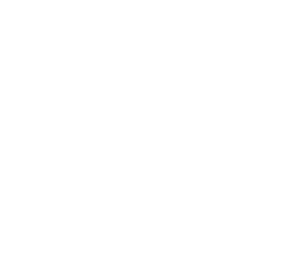 VinFast